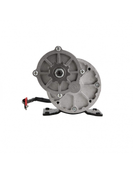 Motor Eléctrico 350w 24v DC Brushed Polea , Piñon y Cadena